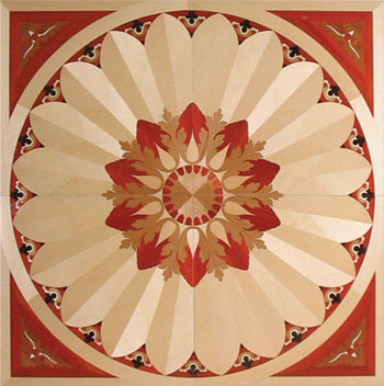 Dˇg(sh)ƴذ c(din)ɷŴ