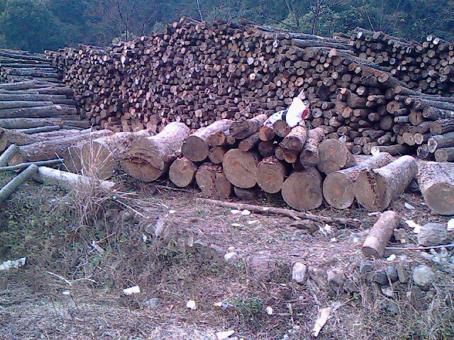 D(ch)Ĉ(chng)2 c(din)ɷŴ