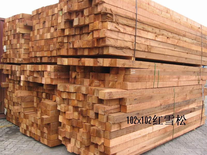 DM(jn)ڼtѩ c(din)ɷŴ