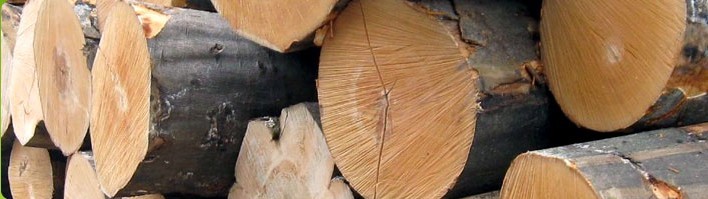 DƺdľI(y)޹˾ Wޙľ(zhun)I(y)(yng) c(din)ɷŴ