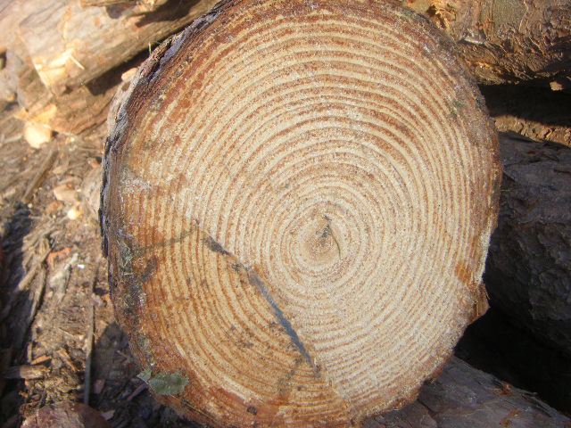 D-Ʒ-a(chn)Ʒ c(din)ɷŴ