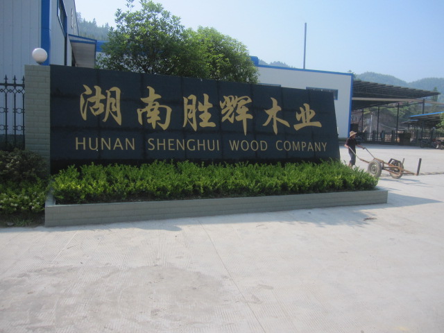 DτxľI(y) c(din)ɷŴ