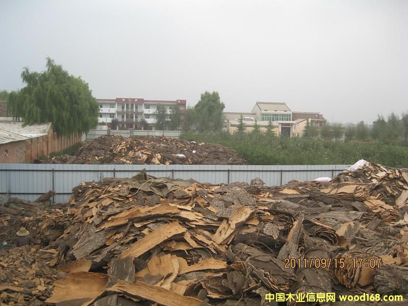 D(dng)F(xin)(chng) c(din)ɷŴ