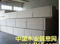 D\(yn)ݔ܇b×ľLVL c(din)ɷŴ