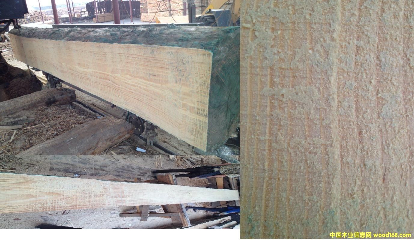 DݗɼҾ߲    c(din)ɷŴ