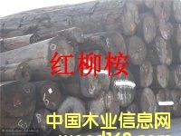 DM(jn)ԭľ c(din)ɷŴ