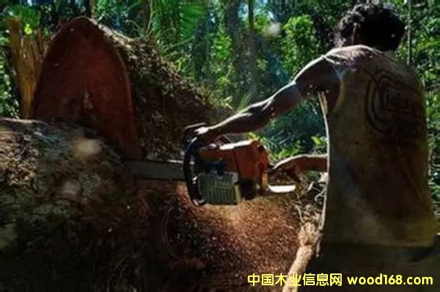 DϢW(wng)28?qng)?bo)ýQЇ(gu)¸AӲjL(zhng)|ρϡľĵķǷQ(mo)l(f)ξoYY(ji)ǖ|ρ(gu)ҵȻYԴ޴ı(gu) c(din)ɷŴ