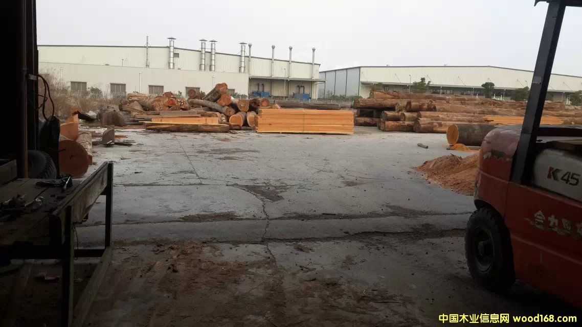 DϺ]iľI(y) c(din)ɷŴ