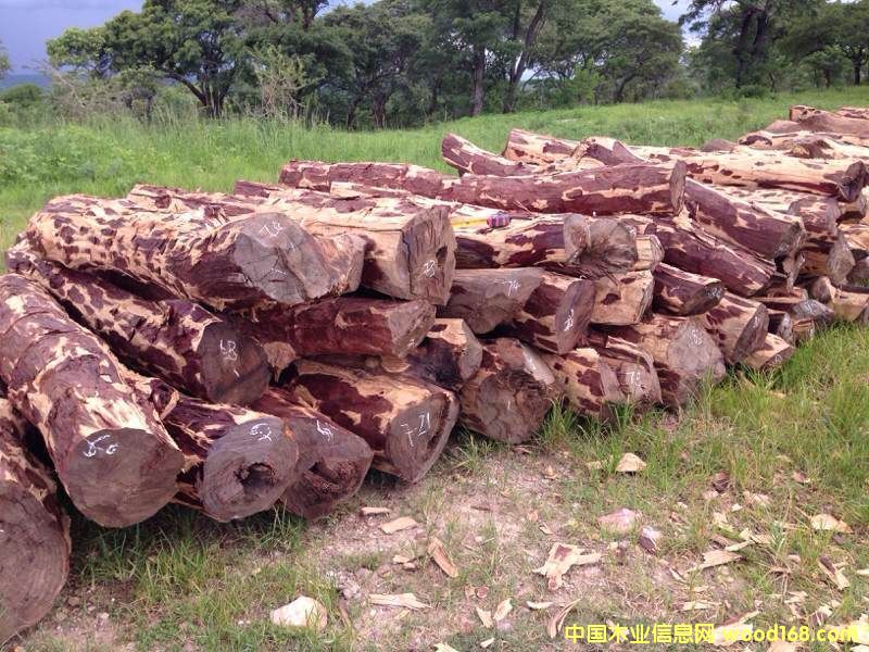 DٝȁѪ̴ c(din)ɷŴ