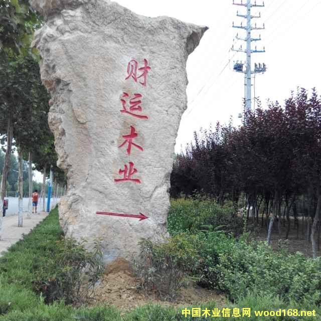 Dؔ(ci)\(yn)ľI(y) c(din)ɷŴ