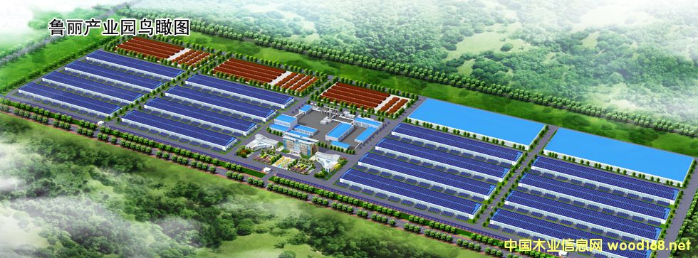 Da(chn)I(y)@B(nio)D c(din)ɷŴ