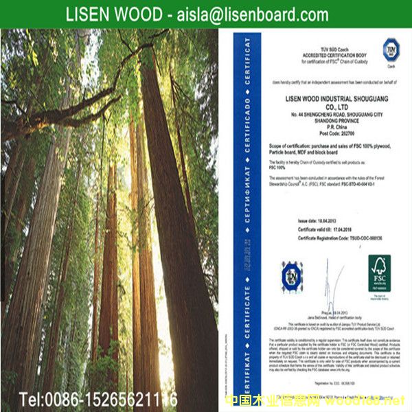 DFSC ɭwϵJ(rn)C c(din)ɷŴ