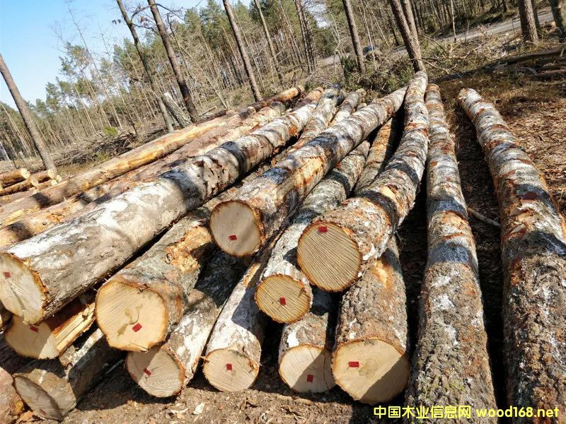 DWޘľԭľ؛ c(din)ɷŴ