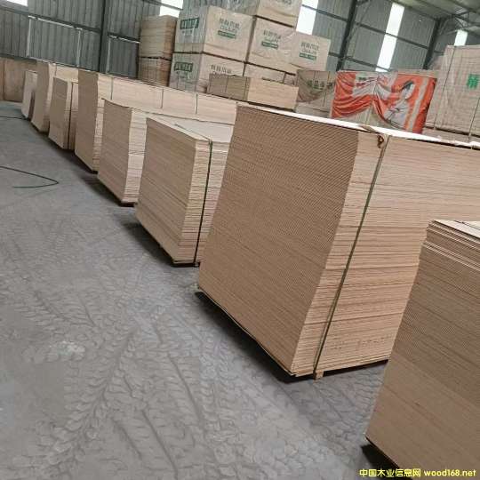 D(sh)ľҾ߶Ӱ  I(y)L(fng)1 c(din)ɷŴ