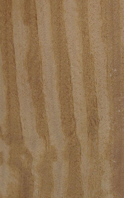 L(fng)̴(ᶹ)cumaruԔ(x)B