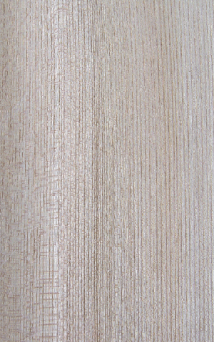 a(chn)˨ֱychina  hackberry(Q)