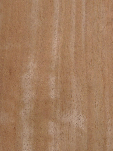 Ӱ(ty)moabi(Q)Ԕ(x)B