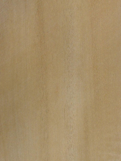 հ(wƤ/S̴)tauari(Q)Ԕ(x)B