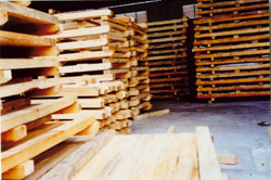 (yu)|(zh)ɼľ䏲Ĵ(yng)ԔB