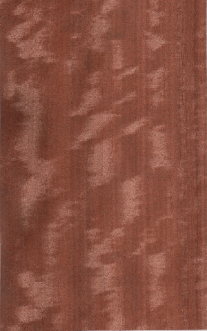 ӰľƤ(ֱy) Makore (Q)Ԕ(x)B