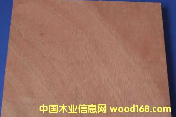 plywoodԔB