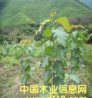 c(din)鿴ľ(ƷN)ŴDƬ