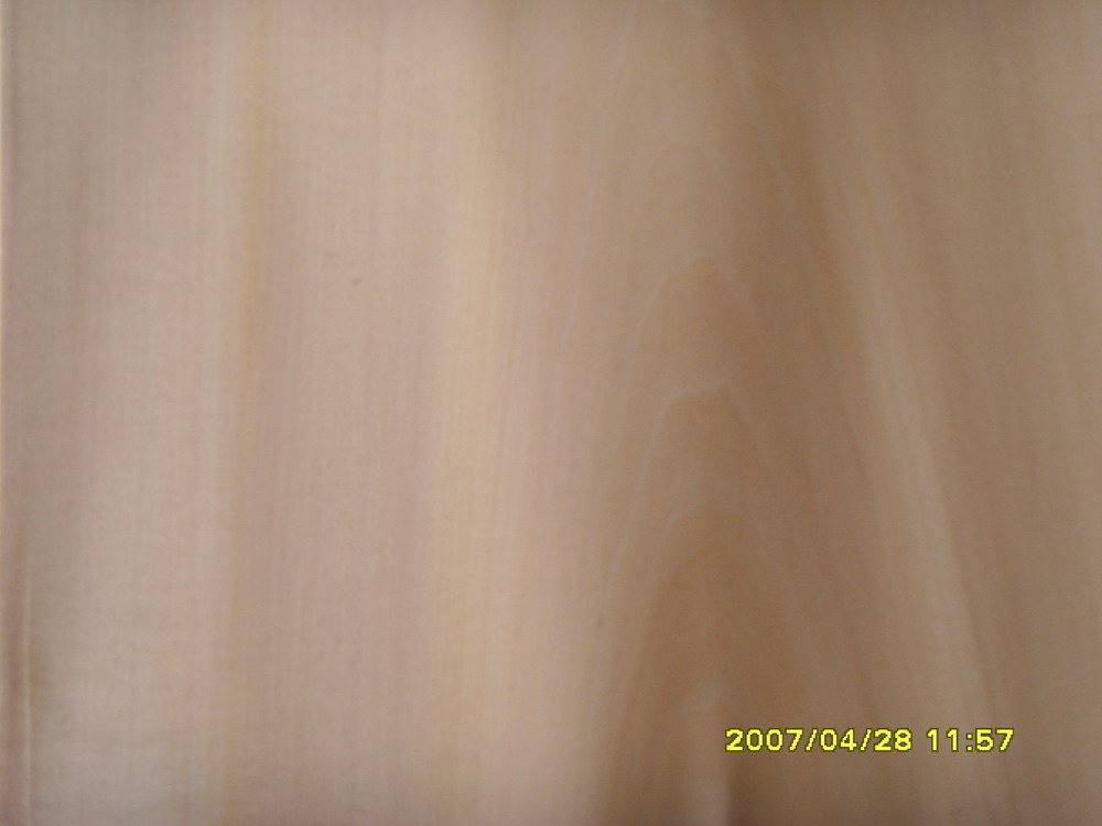 ɽ{(ln)칩(yng)(gu)a(chn)ľƤľľƤԔ(x)B