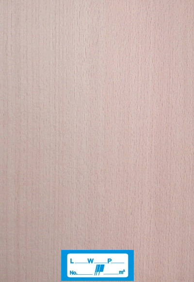 ɽ{(ln)칩(yng)M(jn)ľƤľľƤԔ(x)B