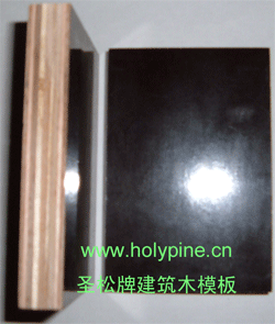 ʥƽģ,ְ,Ĥzϰ,Ĥģ