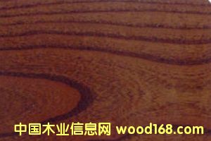 c(din)鿴(sh)ľذľŴDƬ