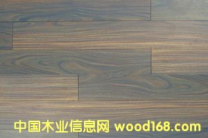 c(din)鿴(sh)ľذ̴ŴDƬ