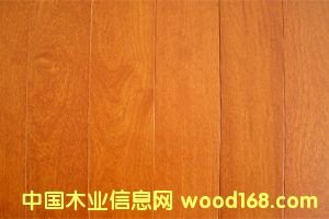 c(din)鿴(sh)ľذ巬۷ŴDƬ