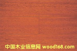 c(din)鿴(sh)ľذ庣ľŴDƬ