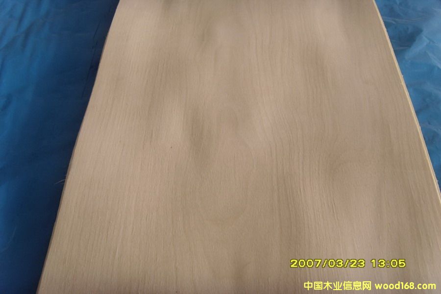 ɽ{(ln)칩(yng)(gu)a(chn)ľƤ|ľƤԔ(x)B