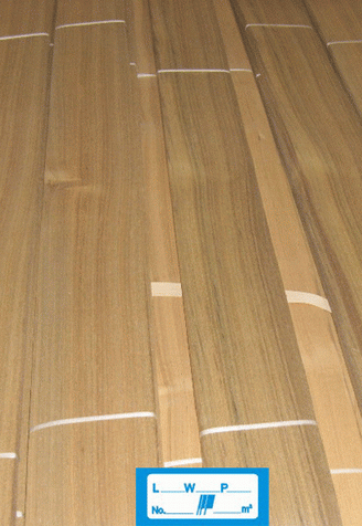 {(ln)ľƤNO.9(yng)M(jn)ľƤ̩ľƤԔ(x)B