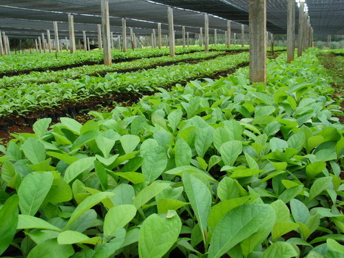 c(din)鿴ľ磨(yu)|(zh)NŴDƬ