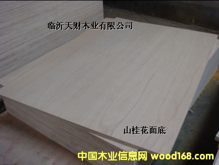 E0 E1 E2h(hun)ȫľ915*1830mmzϰ