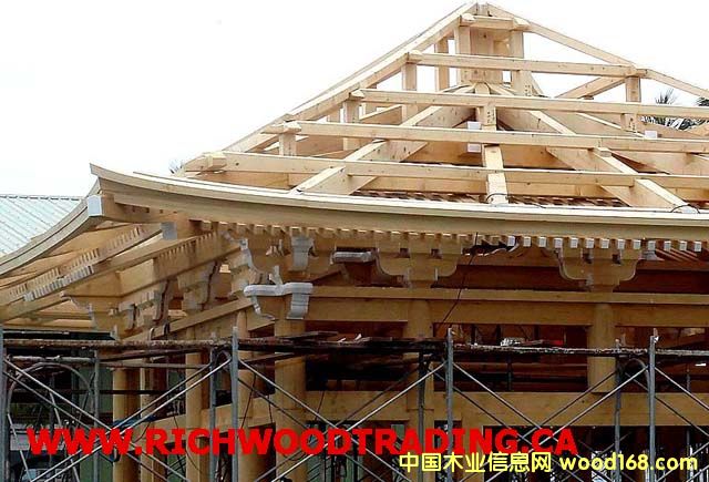 Su (Cypress) / (c) (WesternԔB