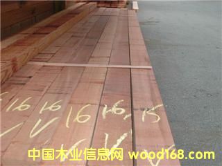 ɼt(c)ء western red ceda