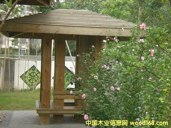 c(din)鿴ľӹ|ɾľӹSŴDƬ