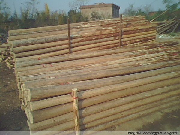 c(din)鿴ɼԭľ(D)ŴDƬ