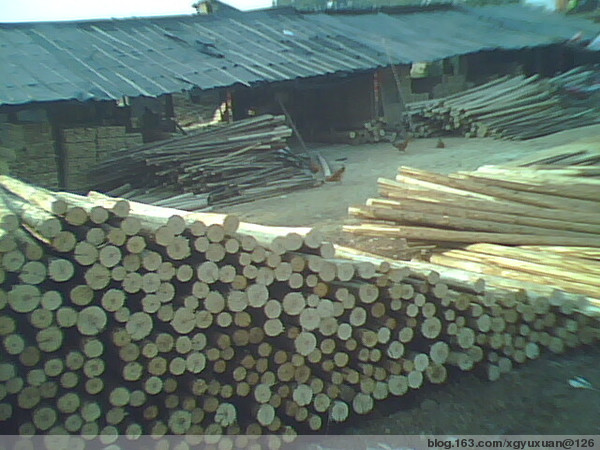 c(din)鿴ɼԭľ(D)ŴDƬ