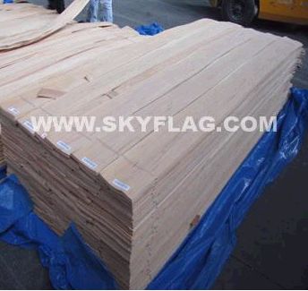 ҼҾϴN         {(ln)