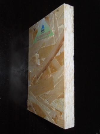 E1Wɰ壨osb壬ٻ壩ԔB