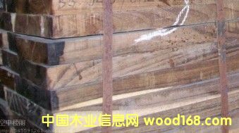 c(din)鿴ӡ̴sonokelingŴDƬ