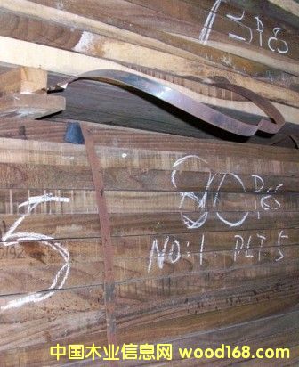 c(din)鿴ӡ̴sonokelingŴDƬ