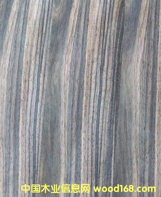 c(din)鿴ӡ̴sonokelingŴDƬ