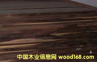 c(din)鿴ӡ̴sonokelingŴDƬ