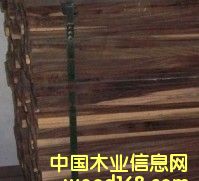 c(din)鿴ӡ̴sonokelingŴDƬ