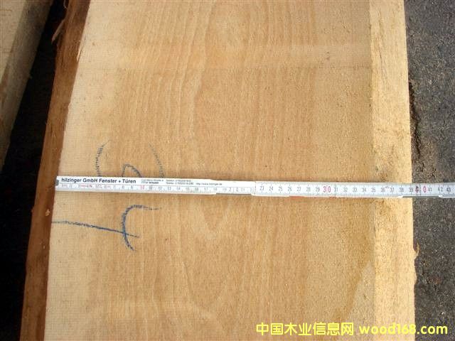 100mmM(jn)ڙľԔ(x)B